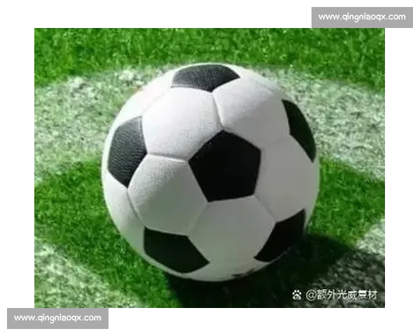 从战术到情怀深度解读当代足球世界的胜负密码与豪门草根的真实故事